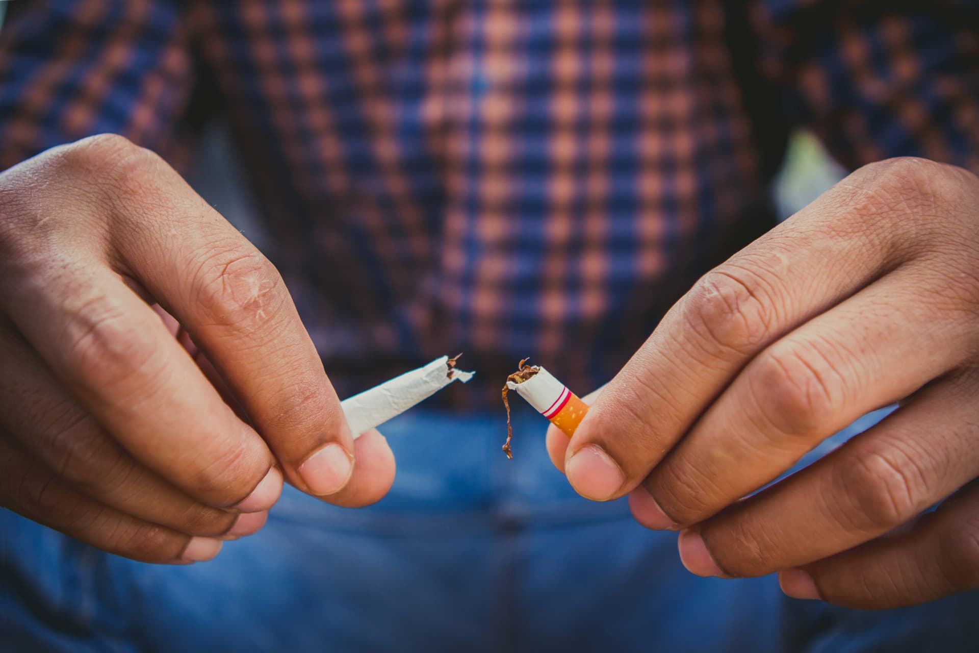 My Native Smokes: Your Go-To Destination for Select Smokes Canada