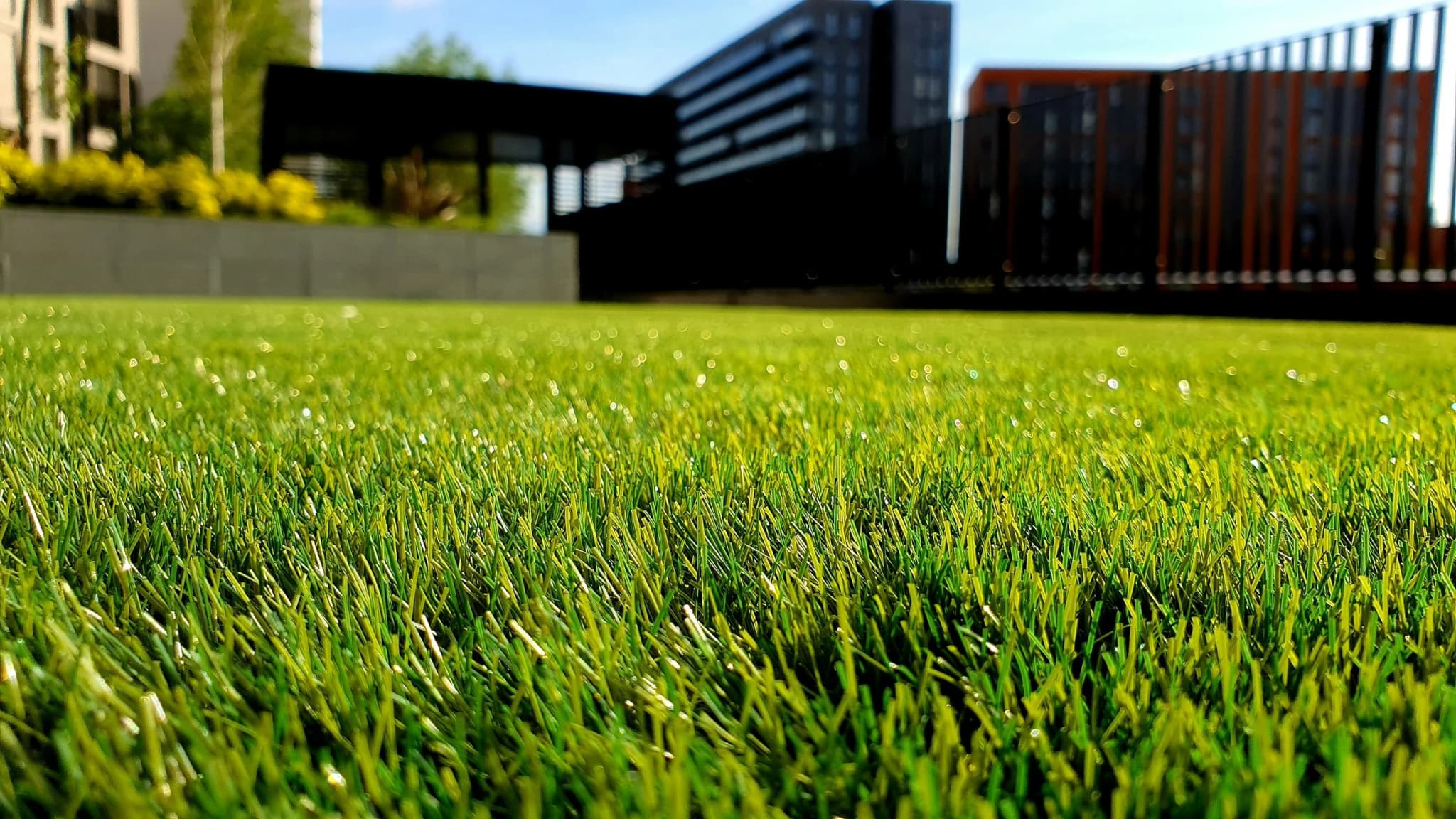 Expert Drainage Services in Fort Worth, TX You Can Trust