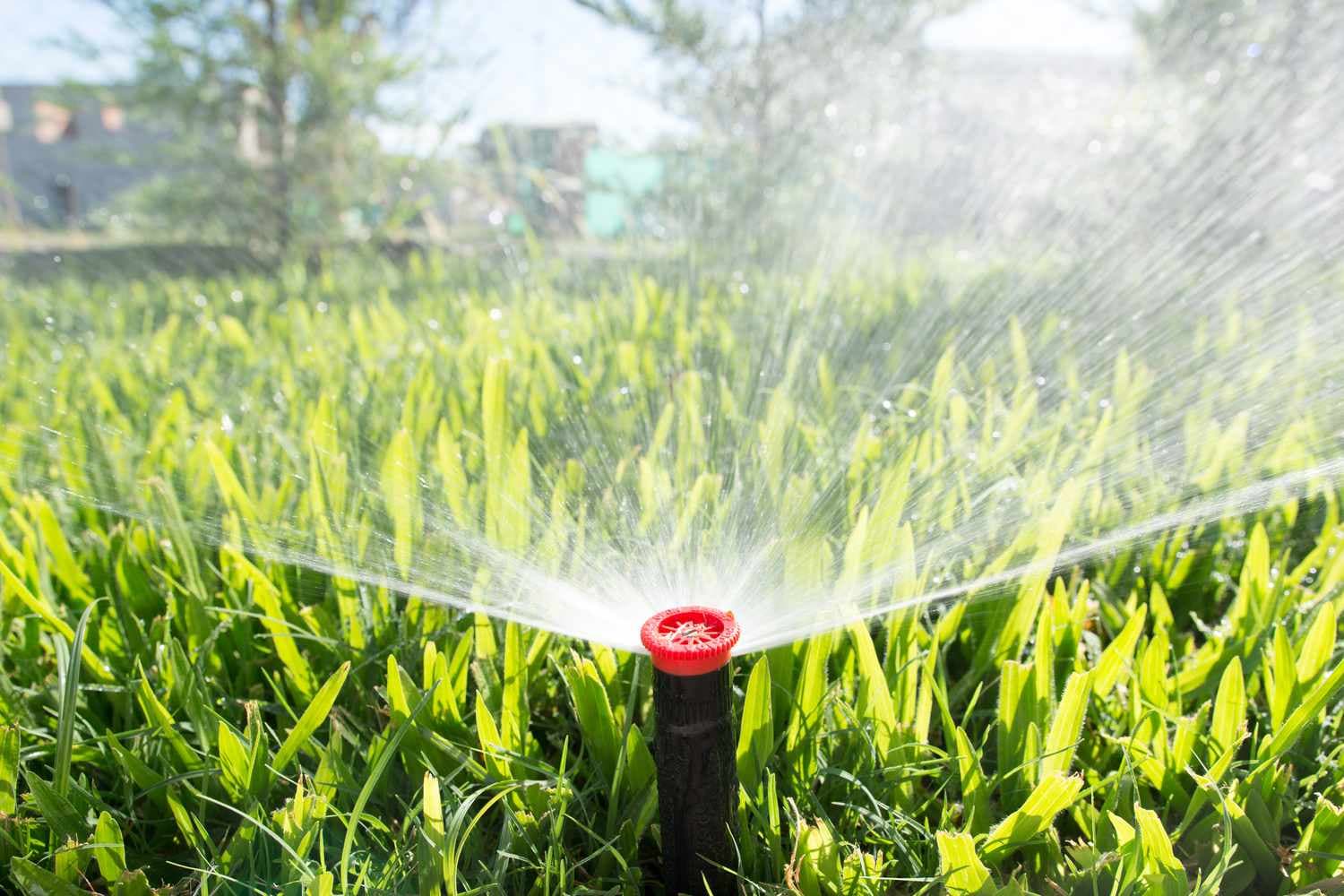 The Sprinkler Company Inc | Reliable Sprinkler Installation Services