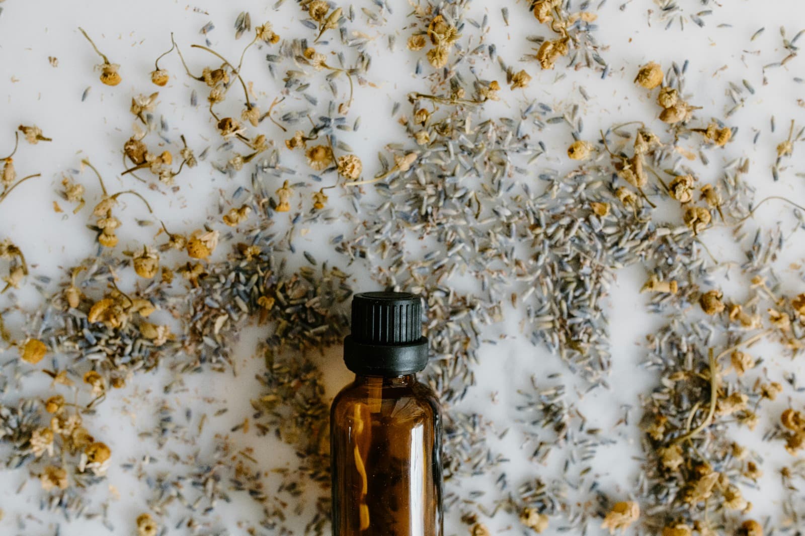 Trusted Ayurveda Online Courses for Long-Term Wellness Skills