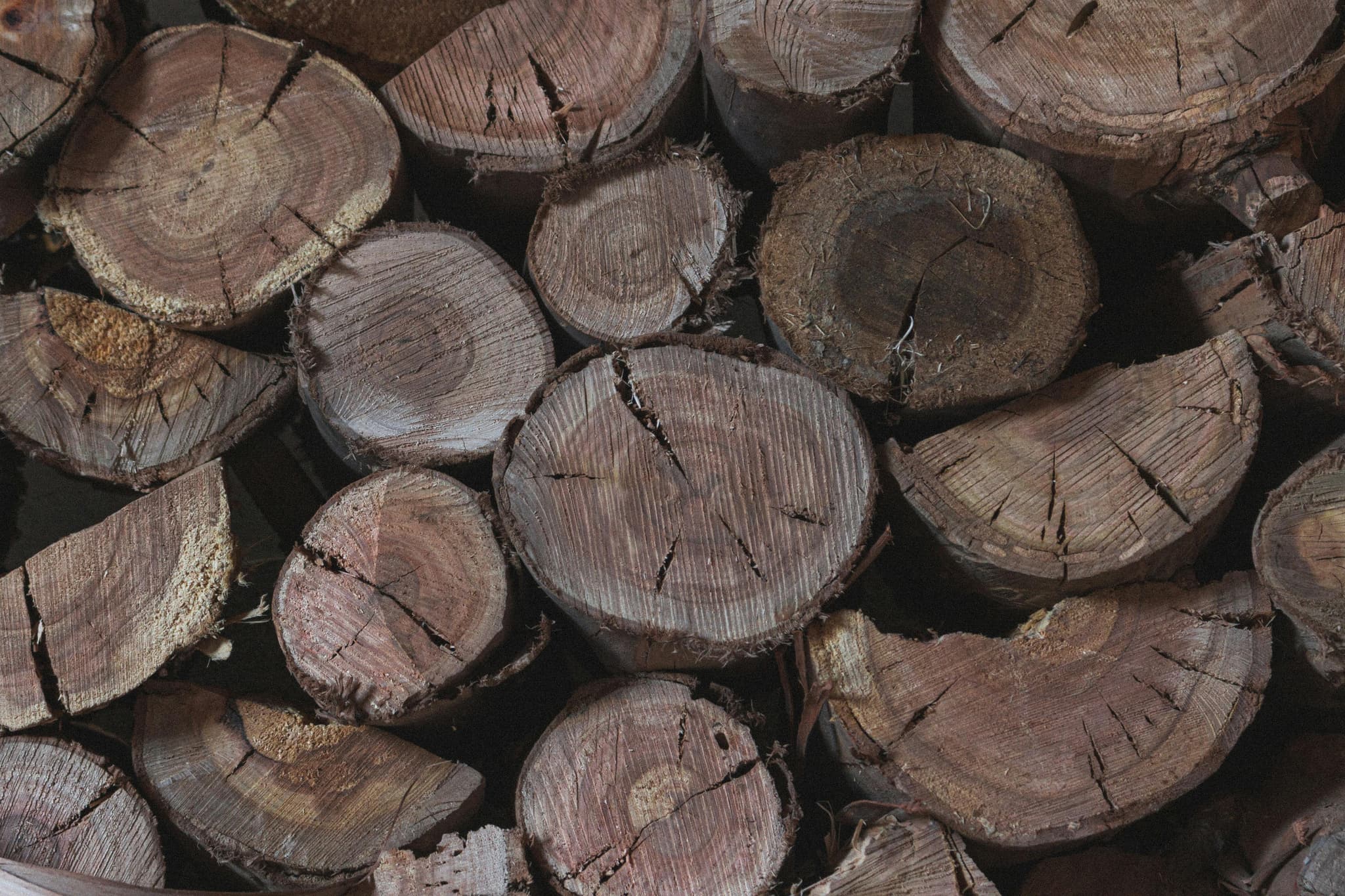 Wood Briquette Designed for Eco-Conscious Consumers