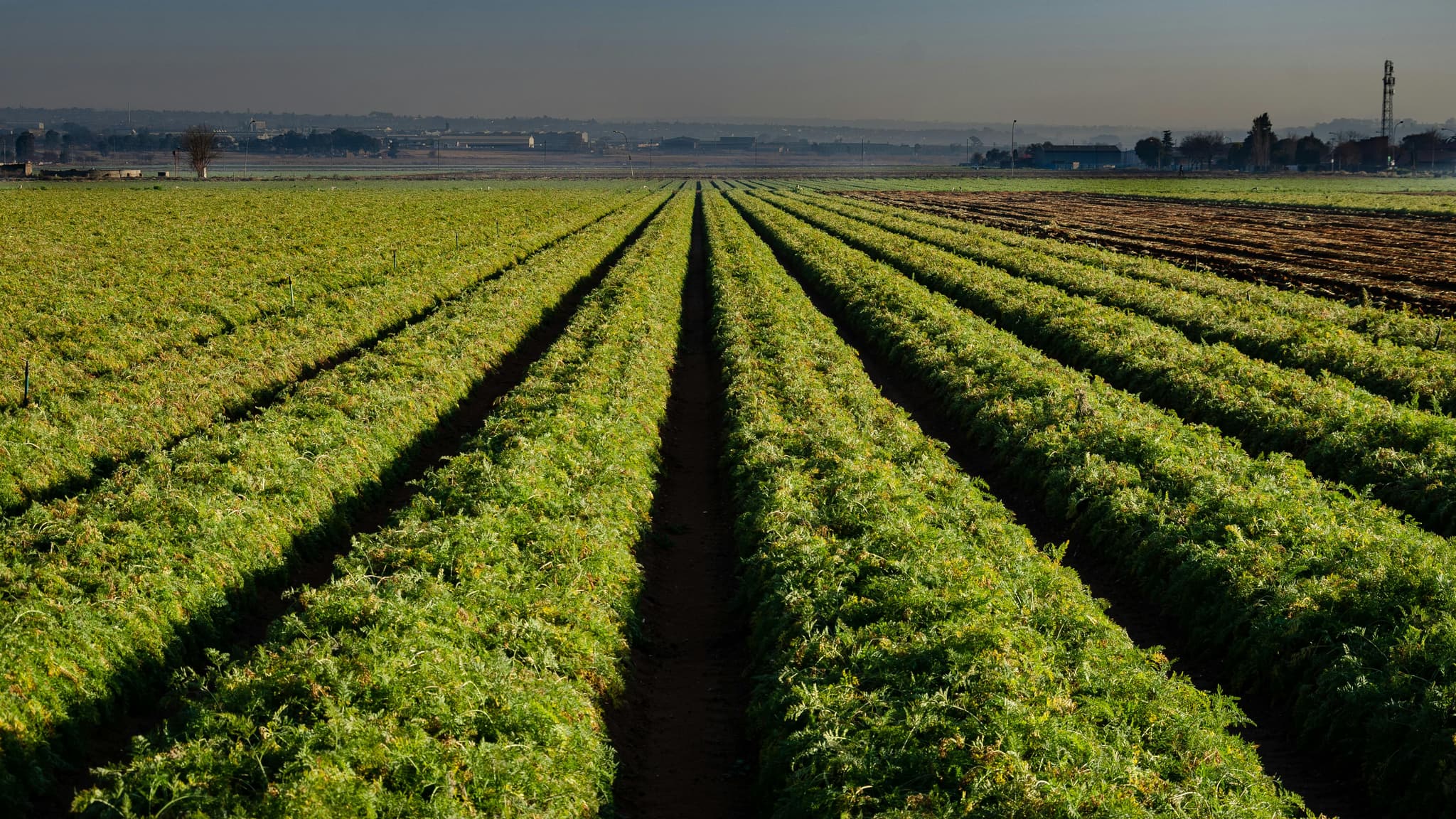 Wine Tasting Events at a Top Winery Sacramento Wine Lovers Enjoy