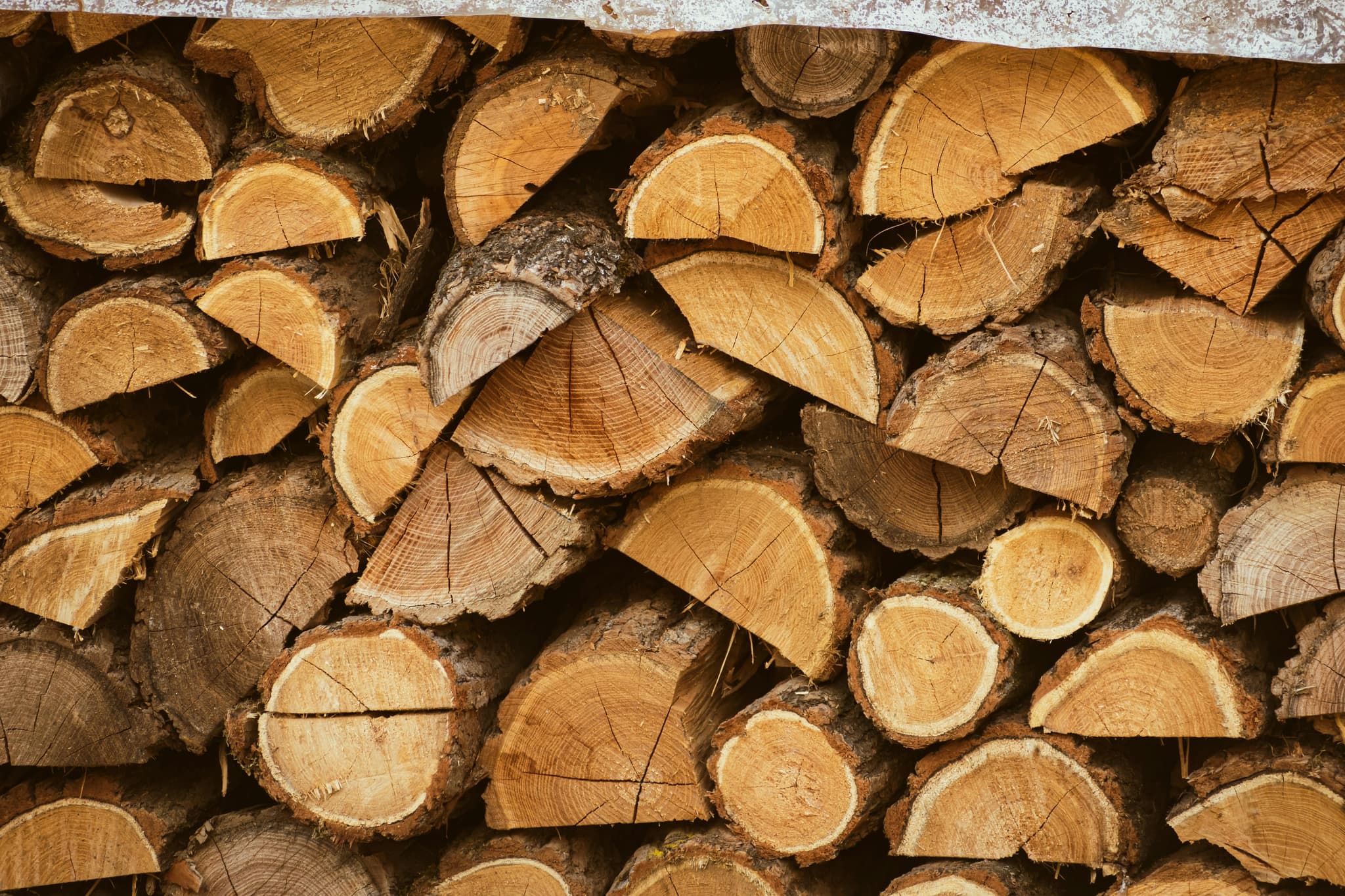 Firewood for Stoves Switzerland: Premium Fuel for Efficient Heating
