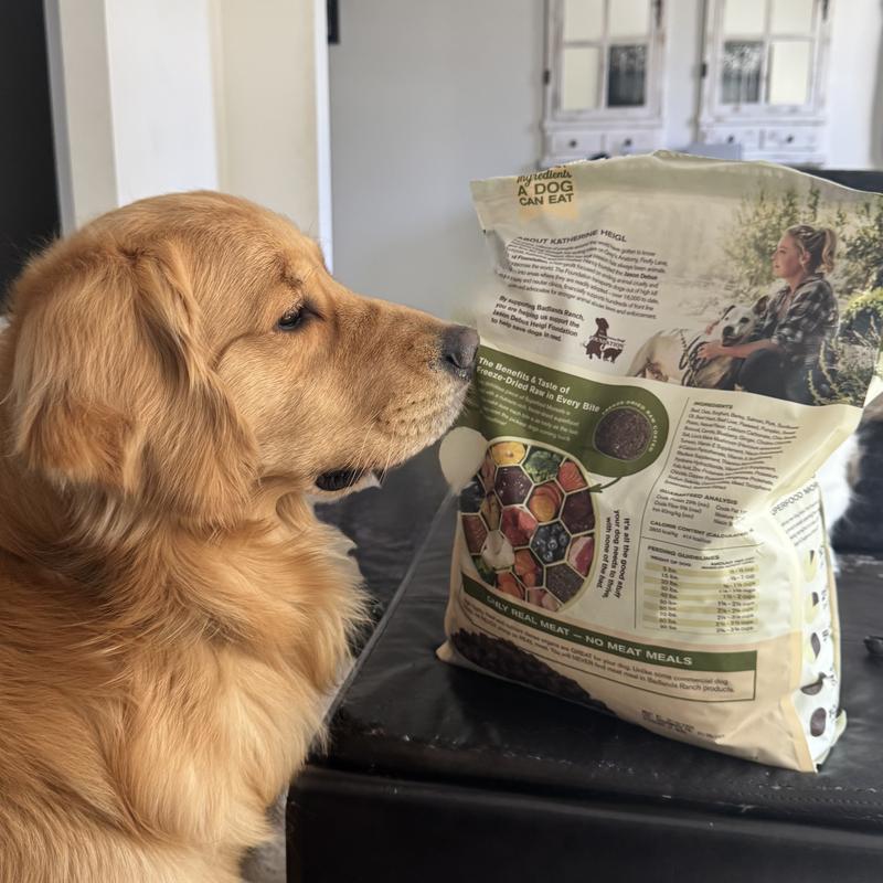 Dr Martys Dog Food: Real Meat and Whole Food Ingredients