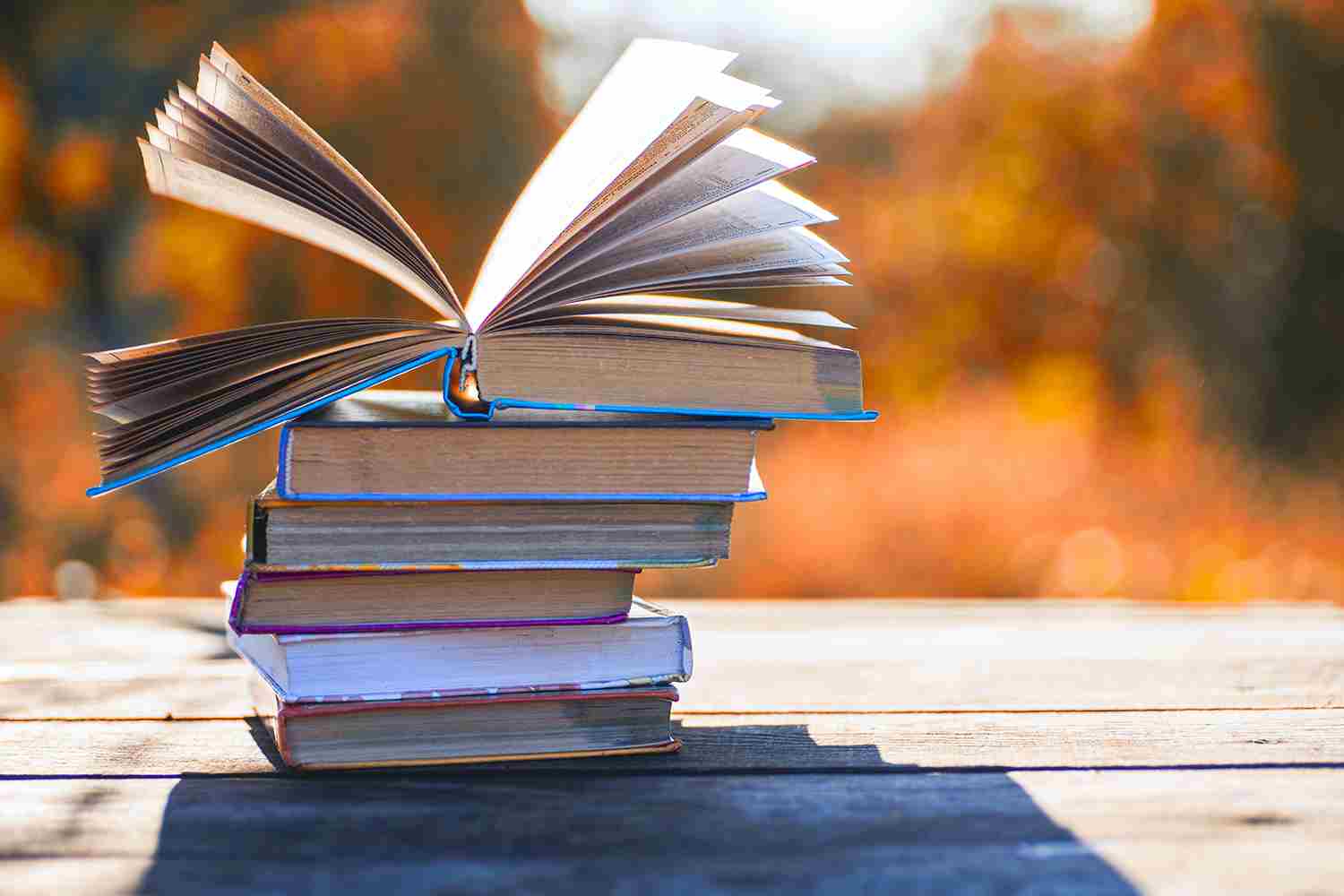 C.S. Duncan Books Creates Stories That Belong in the top 100 classic books