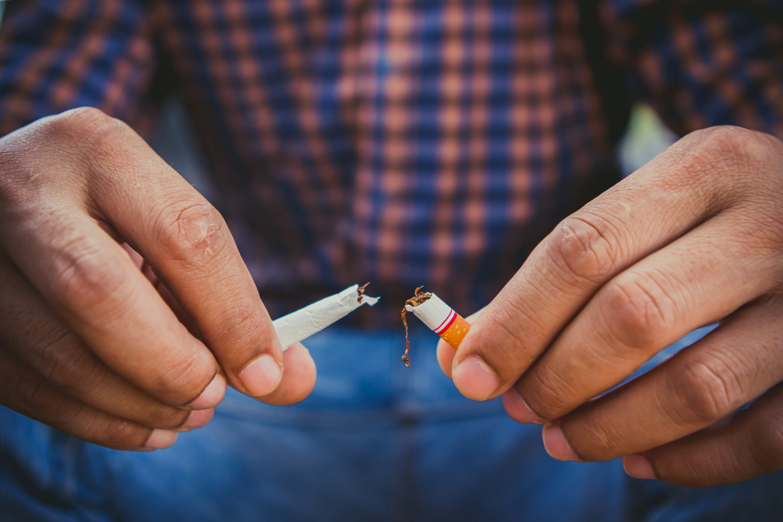 My Native Smokes: Your Go-To Destination for Select Smokes Canada