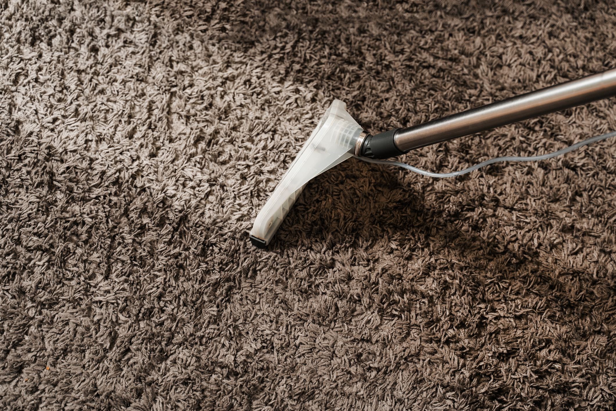 Commercial Carpet Cleaning – Dedicated Team, Spotless Results