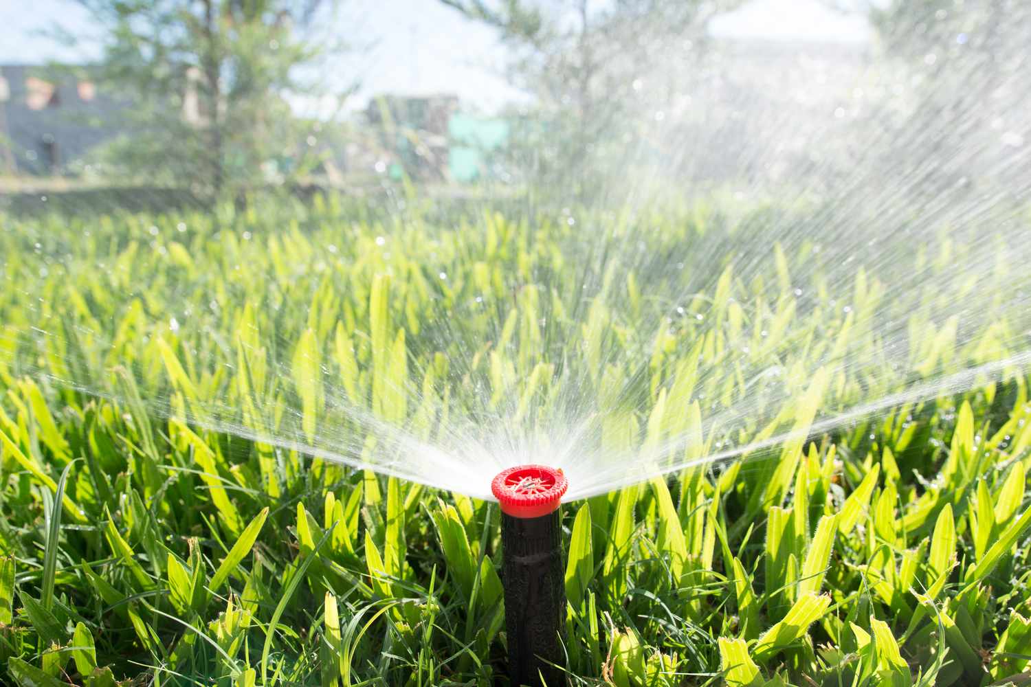 The Sprinkler Company Inc | Reliable Sprinkler Installation Services
