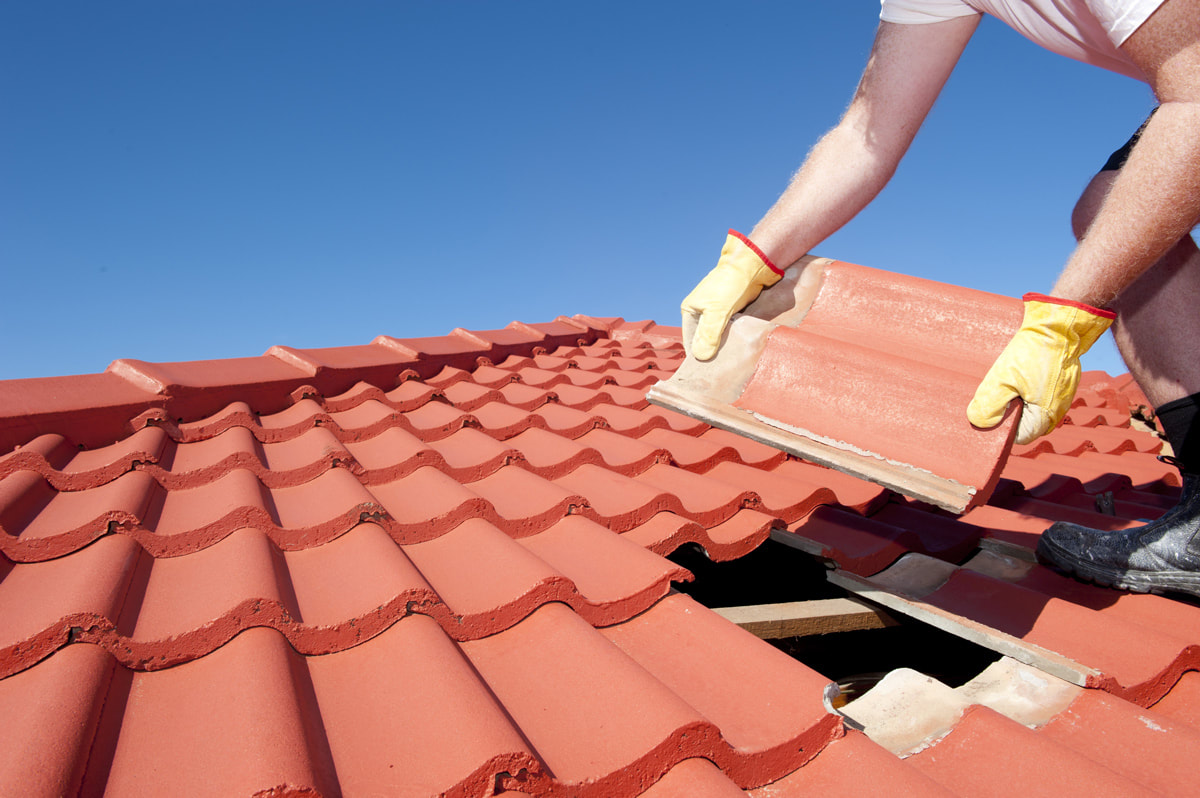 Quality Roof Repair Backed by a 5-Year Warranty
