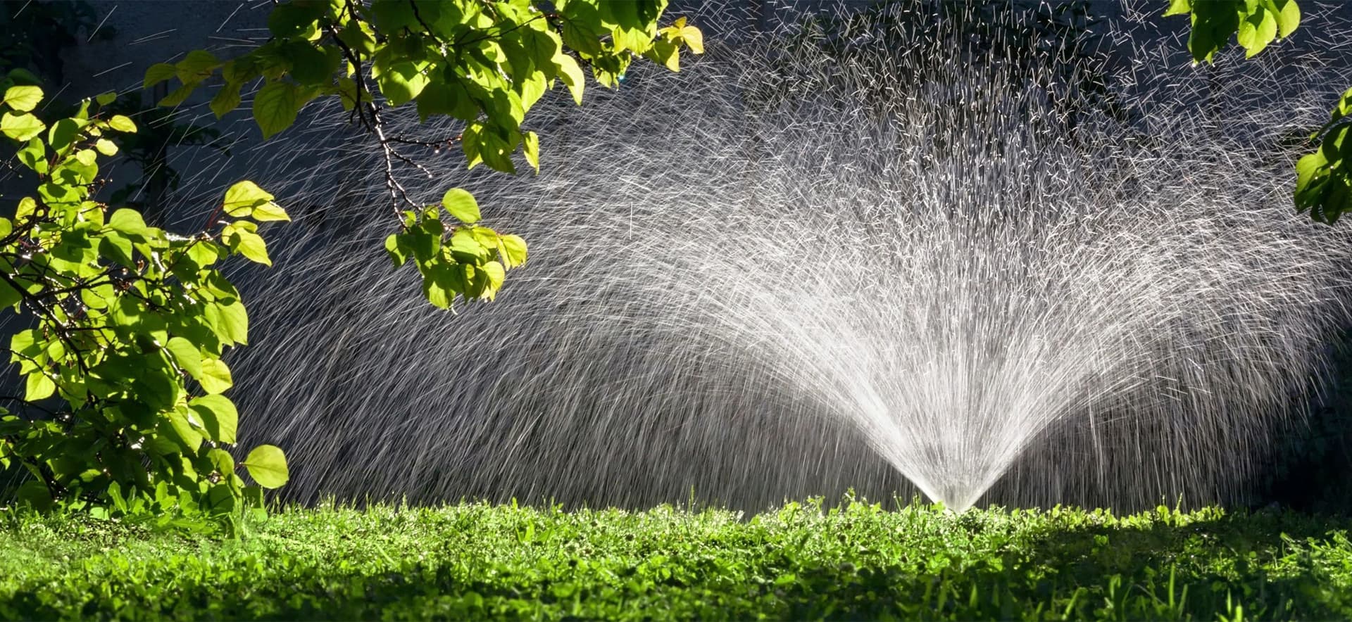 Expert Drainage Services in Springtown , TX for Foundation Protection