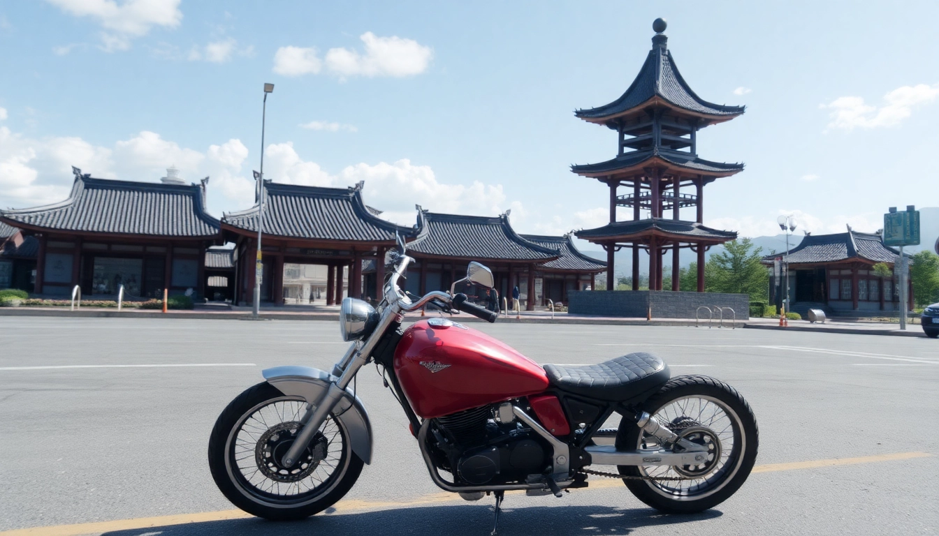 車 リースの魅力を伝える新車が美しい自然の中で並んでいるシーン。