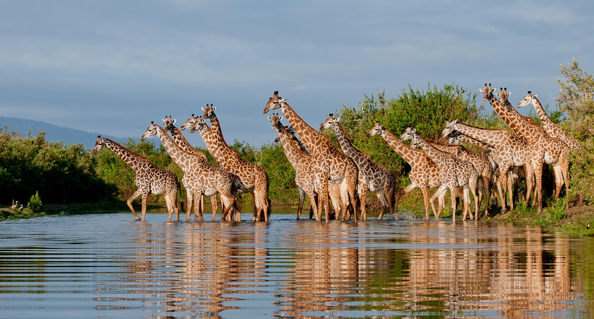 Explore Hidden Gems on a Nyerere National Park Tanzania Safari