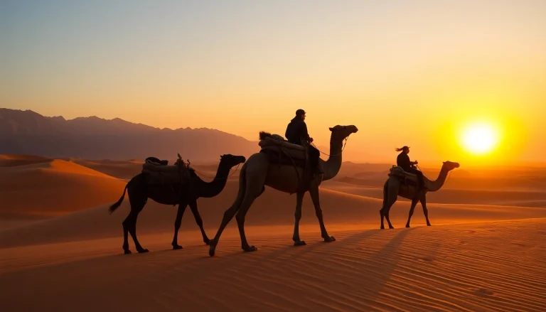Agafay Desert camel ride at sunset with silhouetted camels against golden dunes.