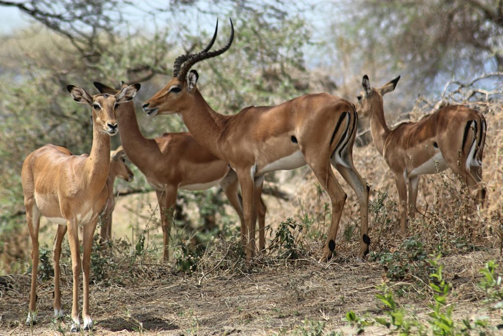 pexels-kristina-schultheiss-268385085-30503868