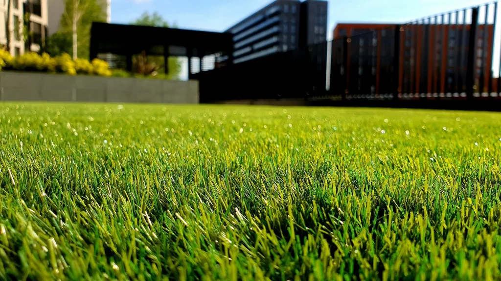 Green+lawn