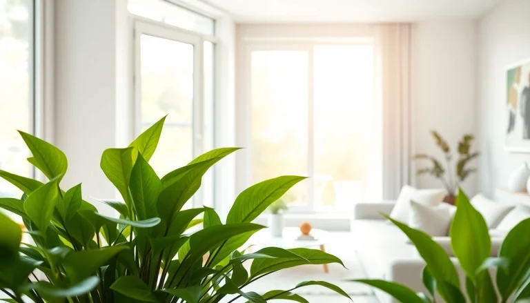 Forny dit hjem med et elegant myggenet i vinduet, der holder insekter ude.